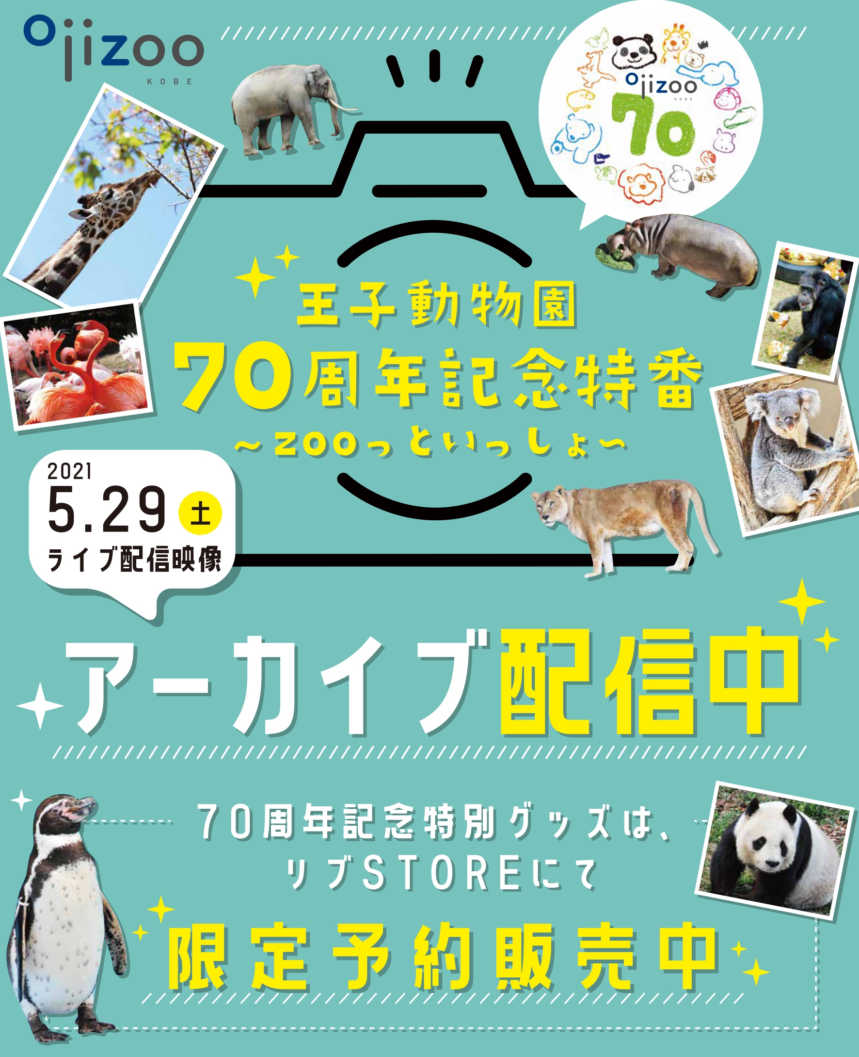 王子動物園 70周年記念★タンタン   クッション★パンダ