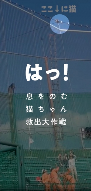 はっ!!息をのむ 猫ちゃん救出大作戦