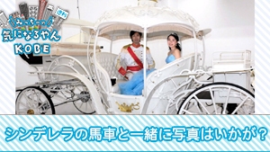 日本で１台だけ！シンデレラの馬車と一緒に写真はいかが？