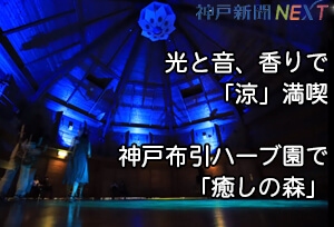 光と音、香りで「涼」満喫　神戸布引ハーブ園で「癒しの森」