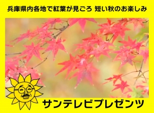 兵庫県内各地で紅葉が見ごろ　短い秋のお楽しみ