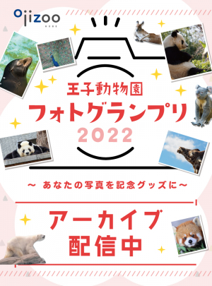 ☆予約販売終了品☆ 王子動物園 フォトブランプリ タンタン28th